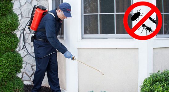 Dilovası Uçan Haşere İlaçlama böcek ilaçlama ve haşere kontrolü — ilaclama-tr.com
